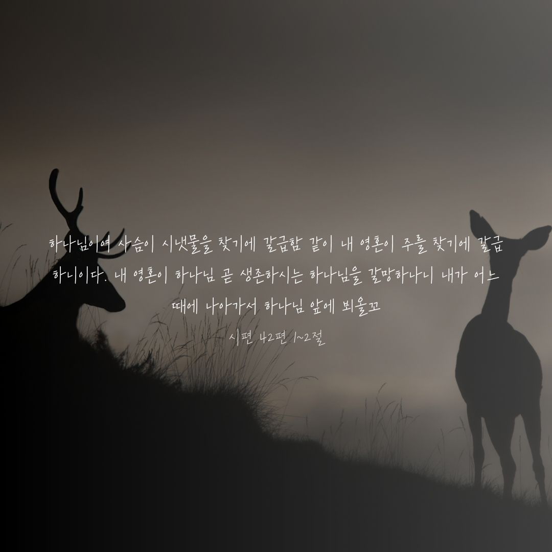김지식
